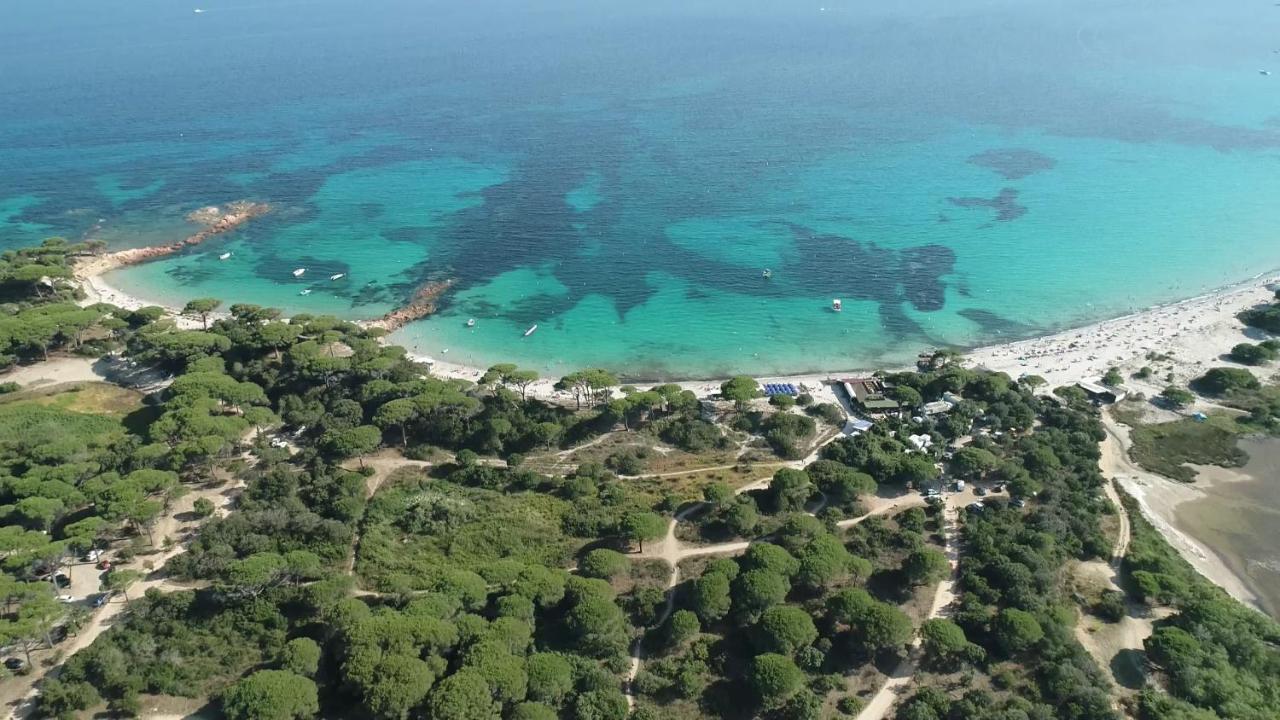 Palombaggia Location I Pini Porto Vecchio Hotel Eksteriør billede