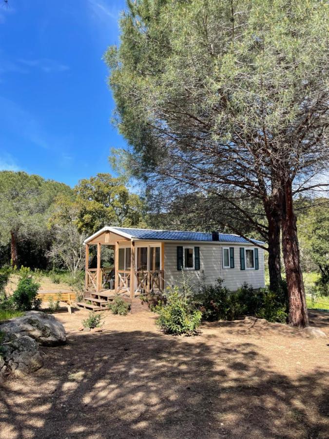 Palombaggia Location I Pini Porto Vecchio Hotel Eksteriør billede