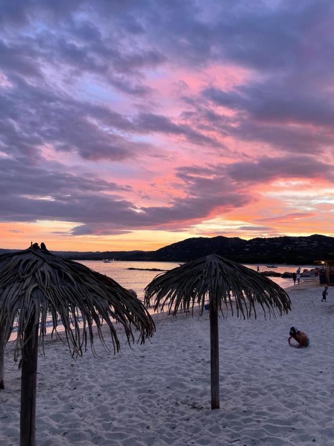 Palombaggia Location I Pini Porto Vecchio Hotel Eksteriør billede
